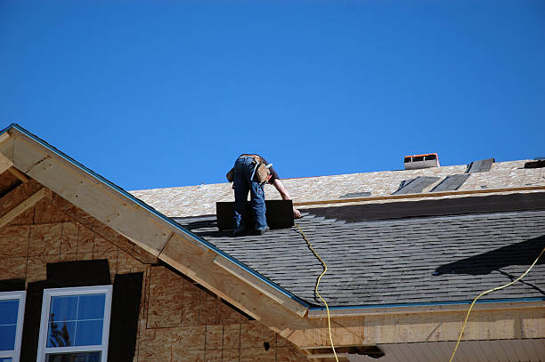 Best Roof Ventilation Installation  in Doolittle, TX