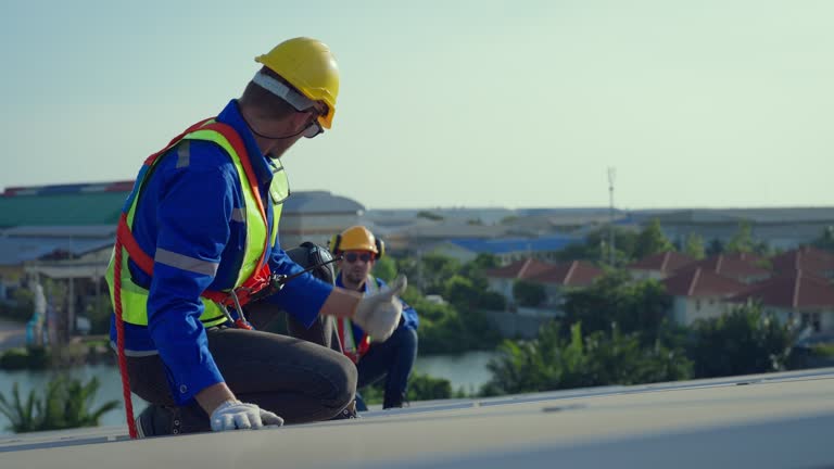 Best Roof Moss and Algae Removal  in Doolittle, TX